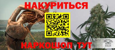 прущие крисы Ставрополь