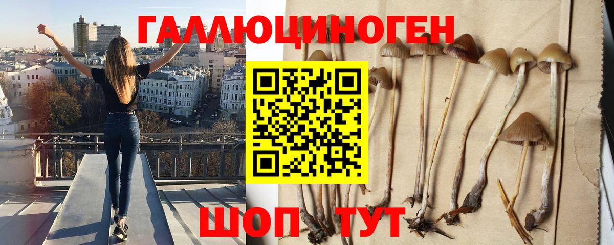 Осинники  Галлюциногенные грибы мухоморы  Вход с VPN 